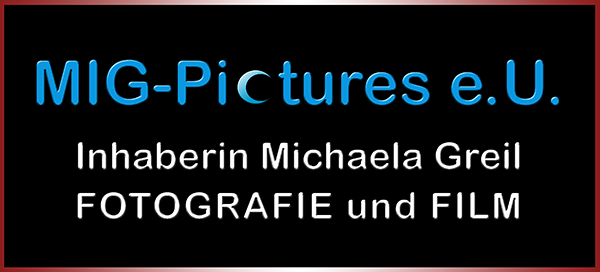 michaelagreil.messeplatz.at